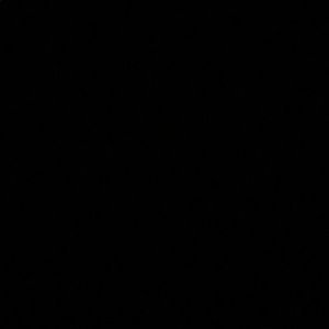 Meet your Posher, Sarina